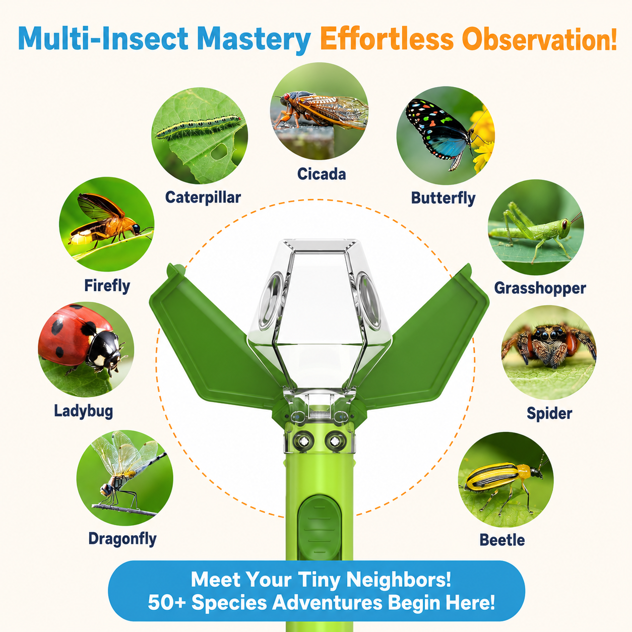 Montessori Insect Catcher Kit