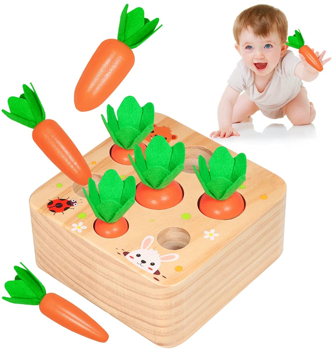 Best Seller: Carrots Harvest Box