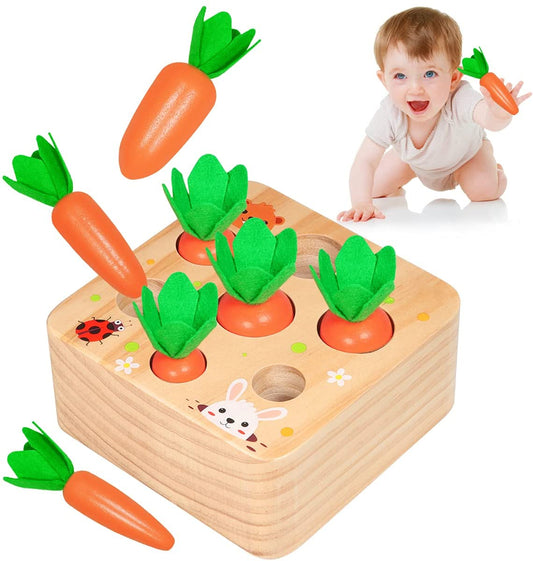 Best Seller: Carrots Harvest Box